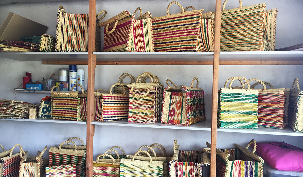 葦素材バスケットイメージ